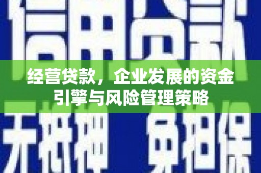 南安经营贷款，企业发展的资金引擎与风险管理策略