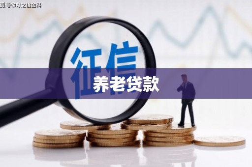 大武养老贷款