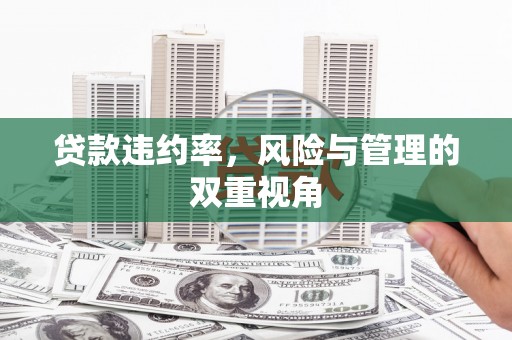 嵩县贷款违约率，风险与管理的双重视角