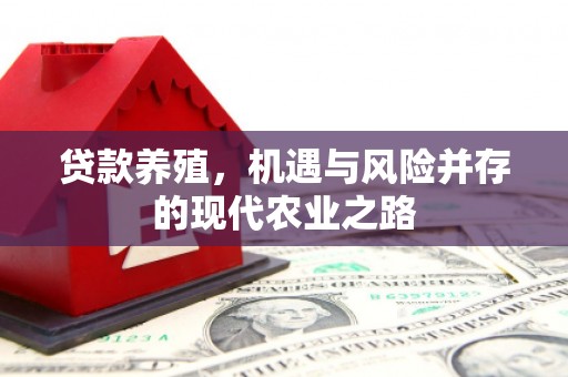 墨江贷款养殖，机遇与风险并存的现代农业之路