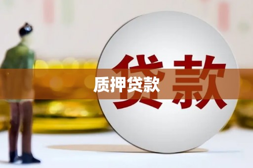 定海质押贷款
