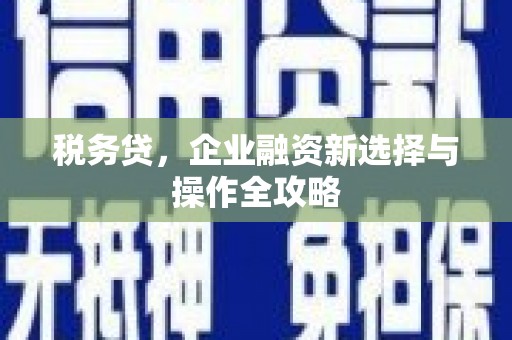 后里税务贷，企业融资新选择与操作全攻略