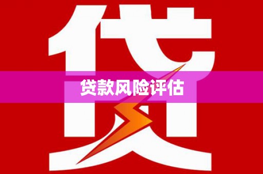 东台贷款风险评估