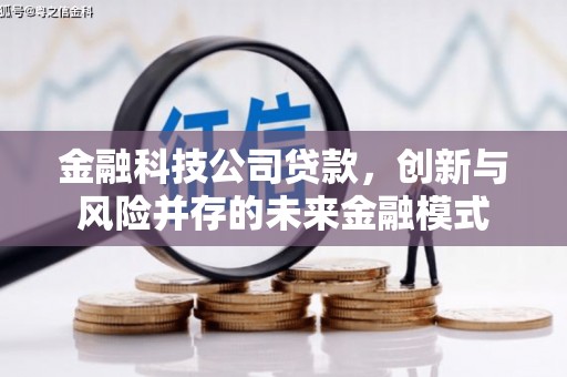 树林金融科技公司贷款，创新与风险并存的未来金融模式