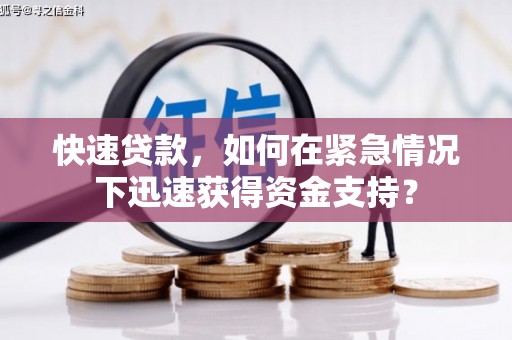 岳麓快速贷款，如何在紧急情况下迅速获得资金支持？