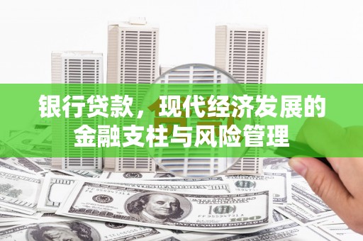 南宫银行贷款，现代经济发展的金融支柱与风险管理