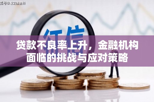 宁晋贷款不良率上升，金融机构面临的挑战与应对策略