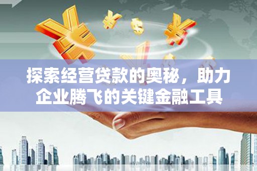 泗阳探索经营贷款的奥秘，助力企业腾飞的关键金融工具