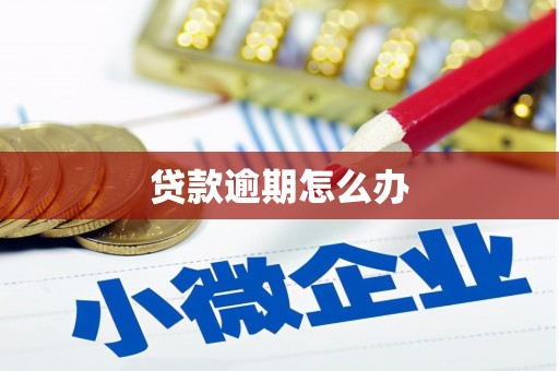 镇平贷款逾期怎么办