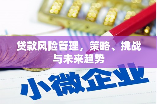 全椒贷款风险管理，策略、挑战与未来趋势