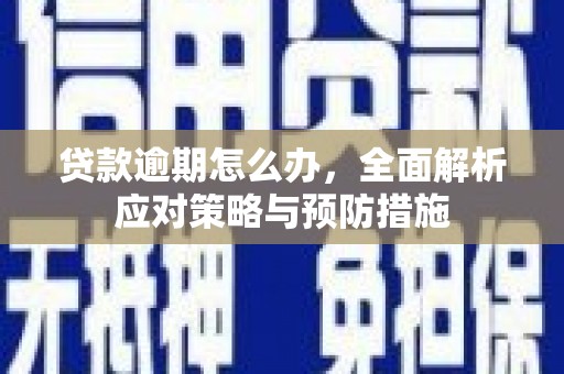 南湖贷款逾期怎么办，全面解析应对策略与预防措施