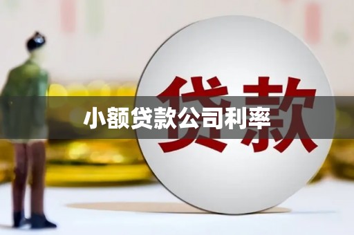 拱墅小额贷款公司利率