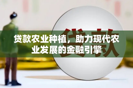 二仑贷款农业种植，助力现代农业发展的金融引擎