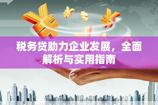 泰顺税务贷助力企业发展，全面解析与实用指南