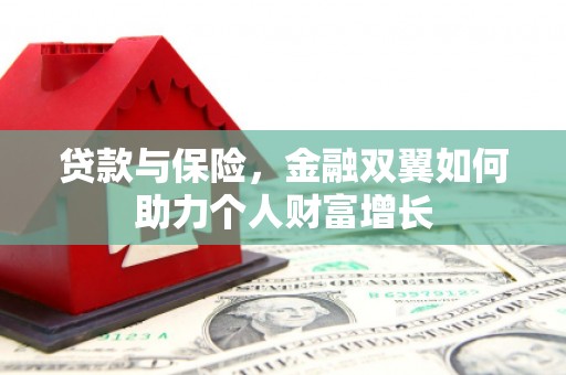 天元贷款与保险，金融双翼如何助力个人财富增长
