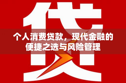 武义个人消费贷款，现代金融的便捷之选与风险管理