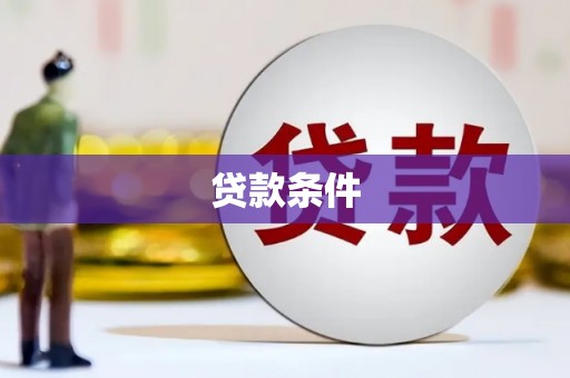 红星贷款条件