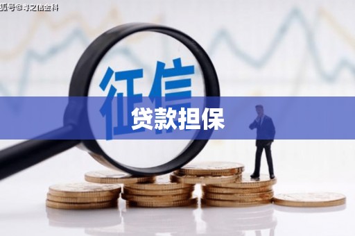 察雅贷款担保
