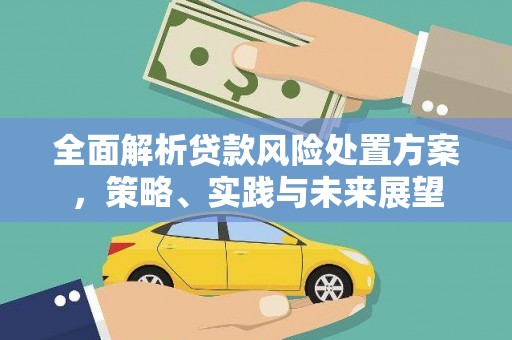 沙湾全面解析贷款风险处置方案，策略、实践与未来展望