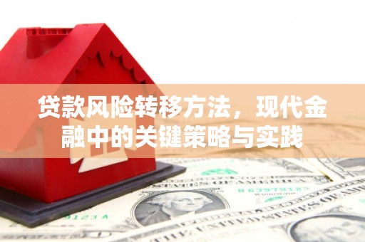 永康贷款风险转移方法，现代金融中的关键策略与实践