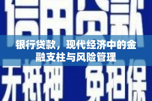 遂昌银行贷款，现代经济中的金融支柱与风险管理