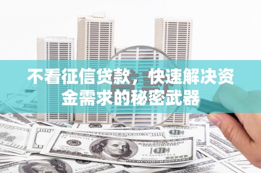 宽甸不看征信贷款，快速解决资金需求的秘密武器