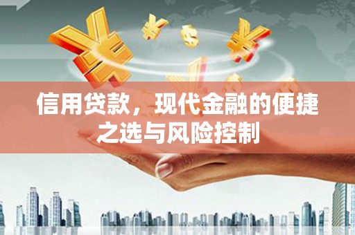 南乐信用贷款，现代金融的便捷之选与风险控制