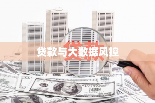 临翔贷款与大数据风控