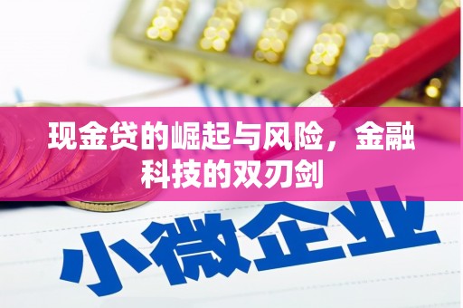江岸现金贷的崛起与风险，金融科技的双刃剑