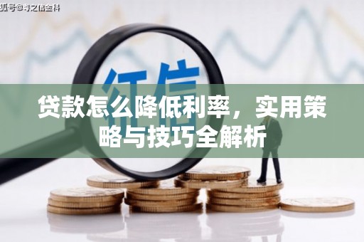 洋县贷款怎么降低利率，实用策略与技巧全解析