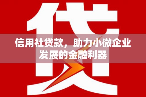 镇远信用社贷款，助力小微企业发展的金融利器