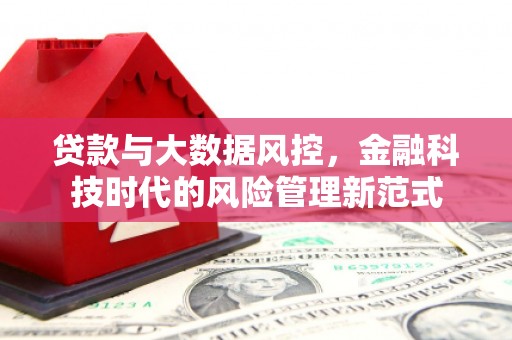 迭部贷款与大数据风控，金融科技时代的风险管理新范式