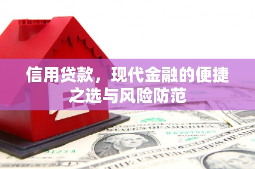 西海岸信用贷款，现代金融的便捷之选与风险防范