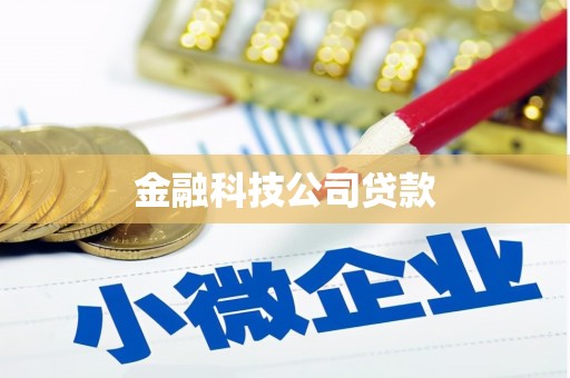 安仁金融科技公司贷款
