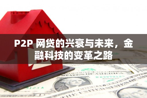 德保P2P 网贷的兴衰与未来，金融科技的变革之路