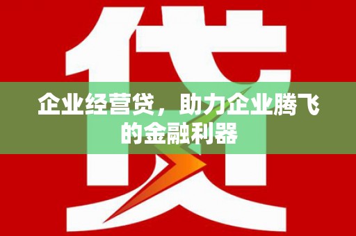 谯城企业经营贷，助力企业腾飞的金融利器