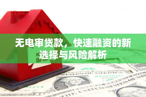 麻城无电审贷款，快速融资的新选择与风险解析