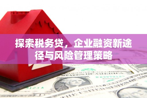 荷塘探索税务贷，企业融资新途径与风险管理策略