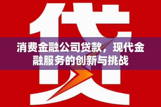 西昌消费金融公司贷款，现代金融服务的创新与挑战