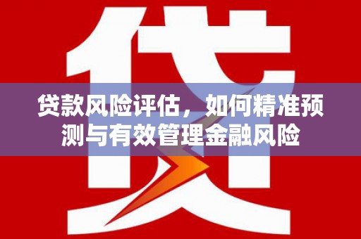 永平贷款风险评估，如何精准预测与有效管理金融风险