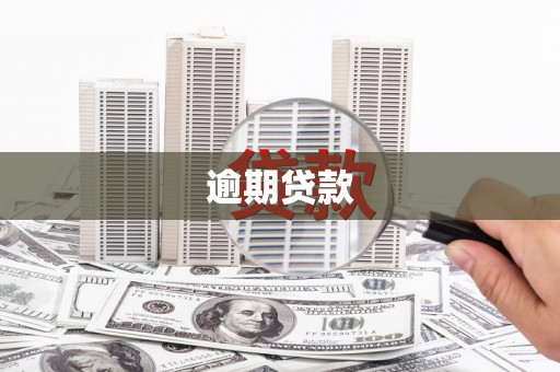 红原逾期贷款
