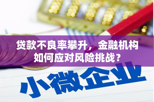 商州贷款不良率攀升，金融机构如何应对风险挑战？