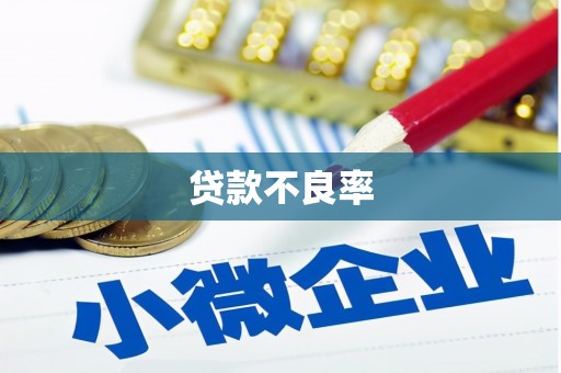 岱岳贷款不良率