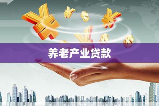 双柏养老产业贷款