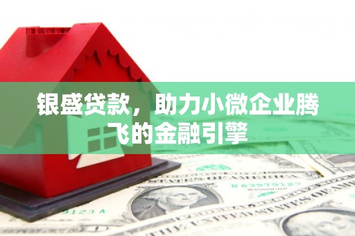 沙坪坝银盛贷款，助力小微企业腾飞的金融引擎