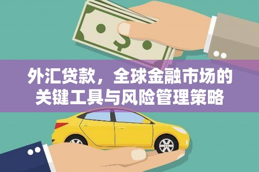 平南外汇贷款，全球金融市场的关键工具与风险管理策略