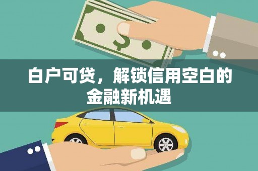 宝应县白户可贷，解锁信用空白的金融新机遇
