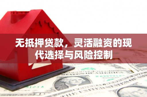 岑巩无抵押贷款，灵活融资的现代选择与风险控制