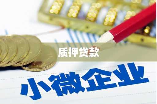 莱山质押贷款