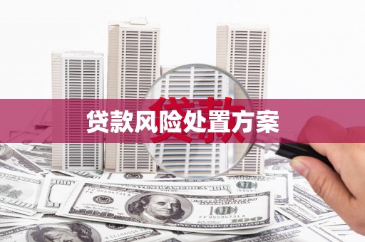 晋宁贷款风险处置方案
